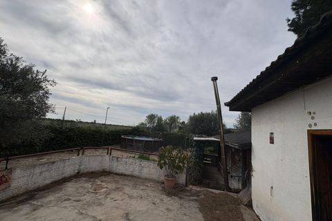 Rækkehus i Vinaros, Castellon, Vinaros - € 175.000 | Ref: EXP12697/8930 - foto 25