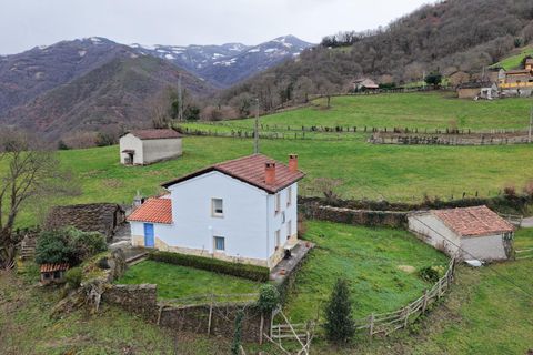 Villa i Aller, Asturias, Aller - € 249 905 | Ref: EXP12880/8930 - foto 45