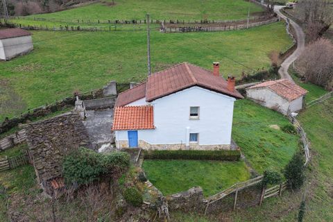 Villa i Aller, Asturias, Aller - € 249 905 | Ref: EXP12880/8930 - foto 46