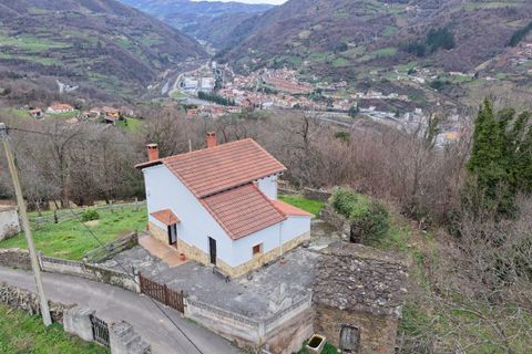 Villa i Aller, Asturias, Aller - € 249 905 | Ref: EXP12880/8930 - foto 48