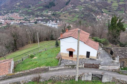 Villa i Aller, Asturias, Aller - € 249 905 | Ref: EXP12880/8930 - foto 49