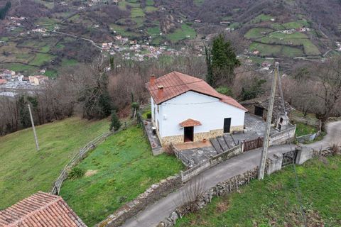 Villa i Aller, Asturias, Aller - € 249 905 | Ref: EXP12880/8930 - foto 50