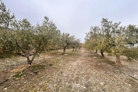 Landejendom i Abrucena, Almeria, Abrucena - € 79.900 | Ref: EXP12843/8930 - foto 17