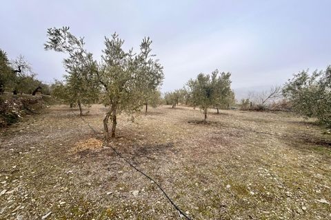 Landejendom i Abrucena, Almeria, Abrucena - € 79.900 | Ref: EXP12843/8930 - foto 18