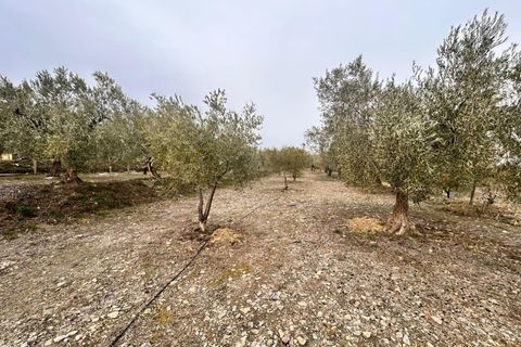 Landejendom i Abrucena, Almeria, Abrucena - € 79.900 | Ref: EXP12843/8930 - foto 19