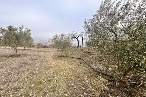 Landejendom i Abrucena, Almeria, Abrucena - € 79.900 | Ref: EXP12843/8930 - foto 20