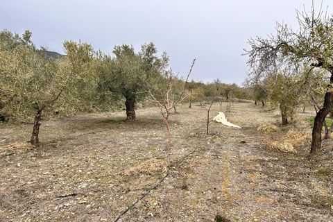 Landejendom i Abrucena, Almeria, Abrucena - € 79.900 | Ref: EXP12843/8930 - foto 21