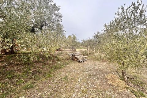 Landejendom i Abrucena, Almeria, Abrucena - € 79.900 | Ref: EXP12843/8930 - foto 22