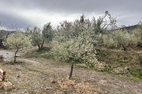 Landejendom i Abrucena, Almeria, Abrucena - € 79.900 | Ref: EXP12843/8930 - foto 23