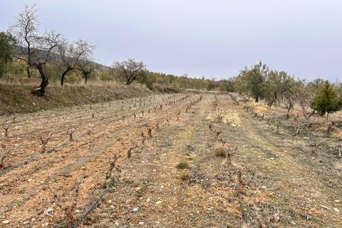 Landejendom i Abrucena, Almeria, Abrucena - € 79.900 | Ref: EXP12843/8930 - foto 25