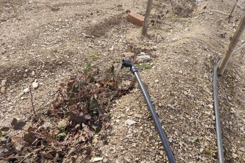 Landejendom i Castaras, Granada, Castaras - € 110.000 | Ref: EXP12916/8930 - foto 16