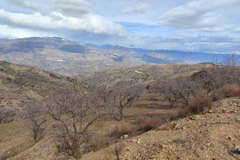 Landejendom i Castaras, Granada, Castaras - € 110.000 | Ref: EXP12916/8930 - foto 23