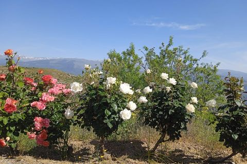 Landejendom i Castaras, Granada, Castaras - € 110.000 | Ref: EXP12916/8930 - foto 24