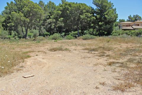 Helårsgrund i Nova Santa Ponsa, Mallorca, Nova Santa Ponsa - € 2.250.000 | Ref: H189617 - foto 4