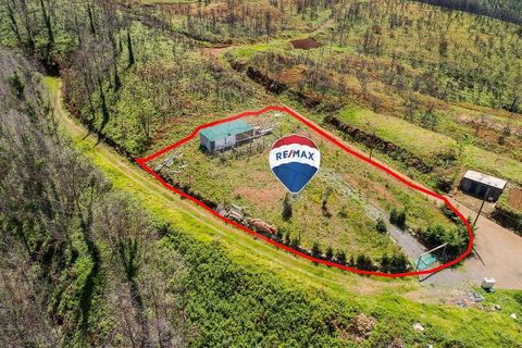 Helårsgrund i Calheta, Madeira, Calheta - € 125.000 | Ref: 123511217-35 - foto 3