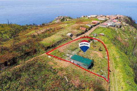 Helårsgrund i Calheta, Madeira, Calheta - € 125.000 | Ref: 123511217-35 - foto 4