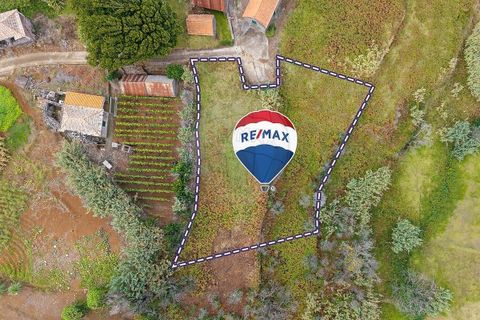 Helårsgrund i Calheta, Madeira, Calheta - € 69.000 | Ref: 123511217-34 - foto 5