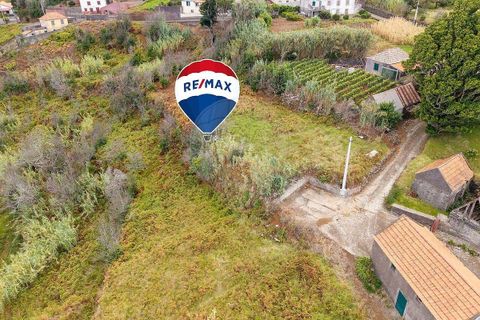 Helårsgrund i Calheta, Madeira, Calheta - € 69.000 | Ref: 123511217-34 - foto 8