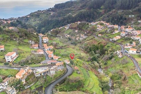 Helårsgrund i Camara de Lobos, Madeira, Camara de Lobos - € 95.000 | Ref: 123511218-44 - foto 3