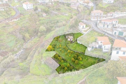Helårsgrund i Camara de Lobos, Madeira, Camara de Lobos - € 95.000 | Ref: 123511218-44 - foto 7