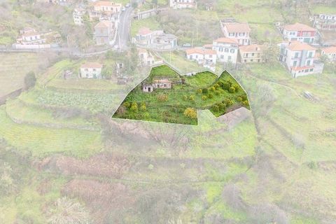 Helårsgrund i Camara de Lobos, Madeira, Camara de Lobos - € 95.000 | Ref: 123511218-44 - foto 8