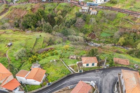Helårsgrund i Camara de Lobos, Madeira, Camara de Lobos - € 95.000 | Ref: 123511218-44 - foto 9
