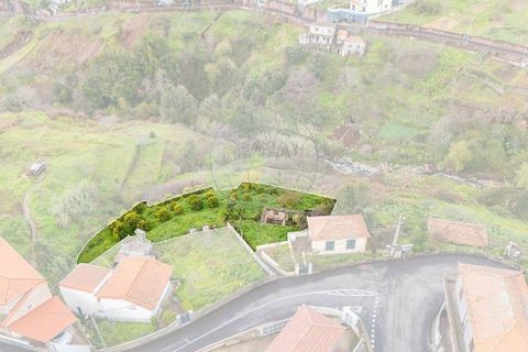 Helårsgrund i Camara de Lobos, Madeira, Camara de Lobos - € 95.000 | Ref: 123511218-44 - foto 10