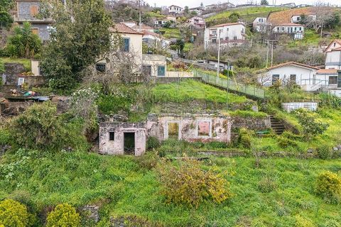 Helårsgrund i Camara de Lobos, Madeira, Camara de Lobos - € 95.000 | Ref: 123511218-44 - foto 11
