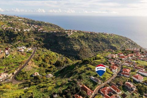 Helårsgrund i Calheta, Madeira, Calheta - € 120.000 | Ref: 123511217-31 - foto 10