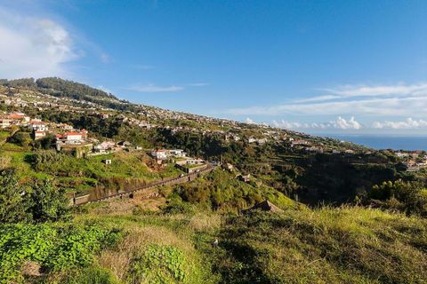 Helårsgrund i Calheta, Madeira, Calheta - € 120.000 | Ref: 123511217-31 - foto 12