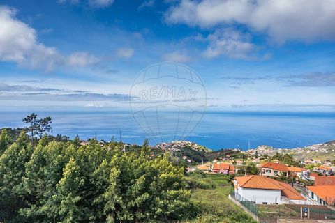 Helårsgrund i Ribeira Brava, Madeira, Ribeira Brava - € 210.000 | Ref: 123511218-35 - foto 1