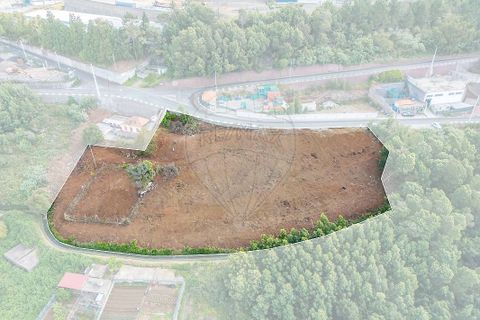 Helårsgrund i Ribeira Brava, Madeira, Ribeira Brava - € 210.000 | Ref: 123511218-35 - foto 11