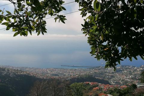 Helårsgrund i Sao Roque, Madeira, Sao Roque - € 130.000 | Ref: 123511227-233 - foto 1