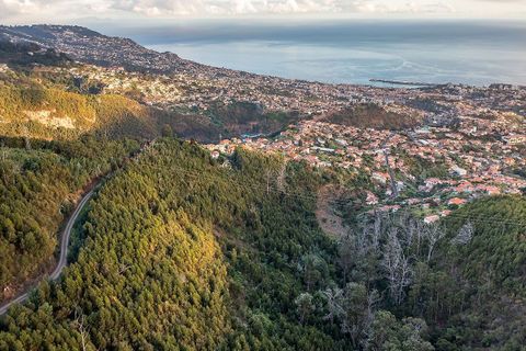 Helårsgrund i Sao Roque, Madeira, Sao Roque - € 130.000 | Ref: 123511227-233 - foto 3