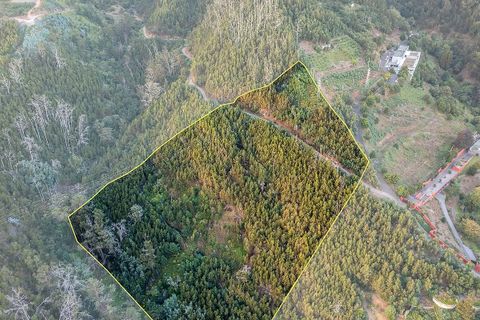 Helårsgrund i Sao Roque, Madeira, Sao Roque - € 130.000 | Ref: 123511227-233 - foto 4