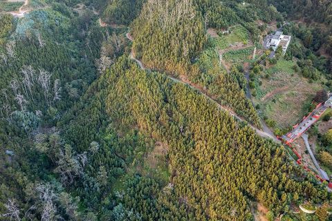 Helårsgrund i Sao Roque, Madeira, Sao Roque - € 130.000 | Ref: 123511227-233 - foto 5