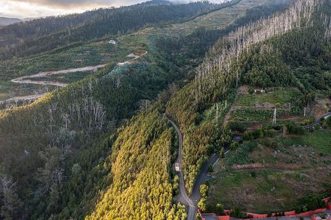 Helårsgrund i Sao Roque, Madeira, Sao Roque - € 130.000 | Ref: 123511227-233 - foto 6