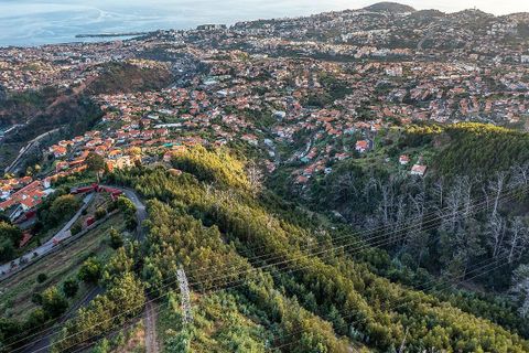 Helårsgrund i Sao Roque, Madeira, Sao Roque - € 130.000 | Ref: 123511227-233 - foto 7