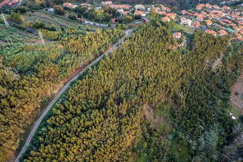 Helårsgrund i Sao Roque, Madeira, Sao Roque - € 130.000 | Ref: 123511227-233 - foto 8