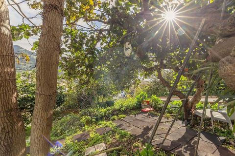 Villa i Machico, Madeira, Machico - € 470.000 | Ref: 123511226-19 - foto 34
