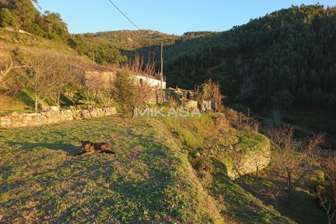 Villa i Monchique, Faro, Monchique - € 140.000 | Ref: M178 - foto 1