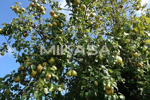 Villa i Monchique, Faro, Monchique - € 140.000 | Ref: M178 - foto 20