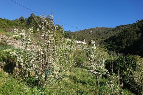 Villa i Monchique, Faro, Monchique - € 140.000 | Ref: M178 - foto 23
