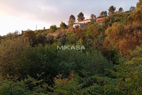 Villa i Monchique, Faro, Monchique - € 140.000 | Ref: M178 - foto 32
