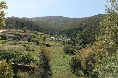 Villa i Monchique, Faro, Monchique - € 140.000 | Ref: M178 - foto 34