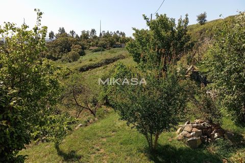 Villa i Monchique, Faro, Monchique - € 140.000 | Ref: M178 - foto 35