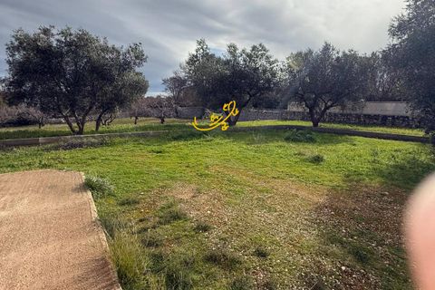 Villa i Monopoli, Bari, Monopoli - € 260.000 | Ref: R 541 - foto 14