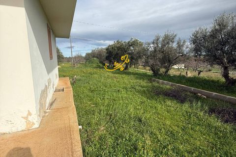 Villa i Monopoli, Bari, Monopoli - € 260.000 | Ref: R 541 - foto 15