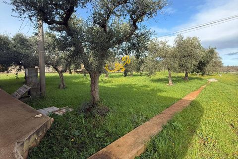 Villa i Monopoli, Bari, Monopoli - € 260.000 | Ref: R 541 - foto 16