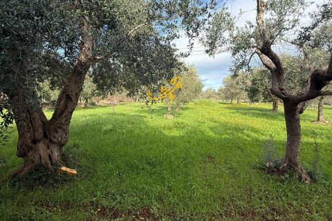 Villa i Monopoli, Bari, Monopoli - € 260.000 | Ref: R 541 - foto 17